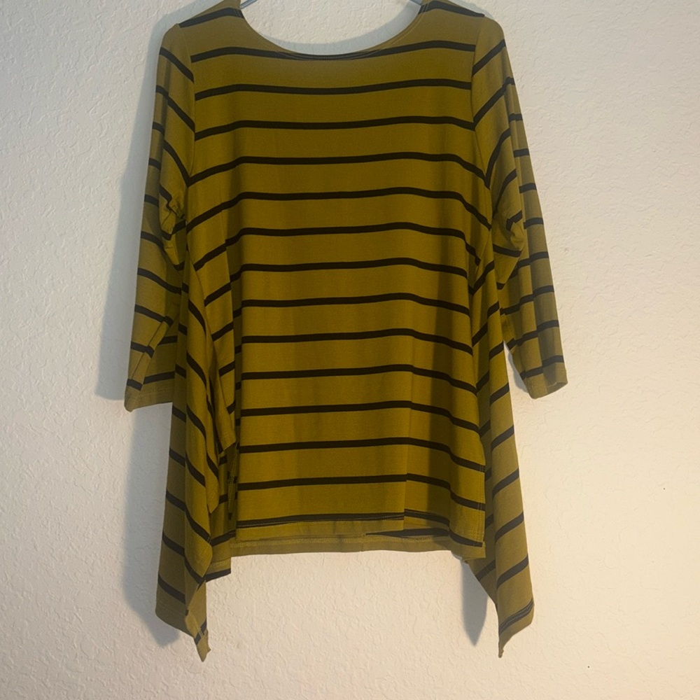 Lisa Bayne knit hanky hem top green stripe size xxl